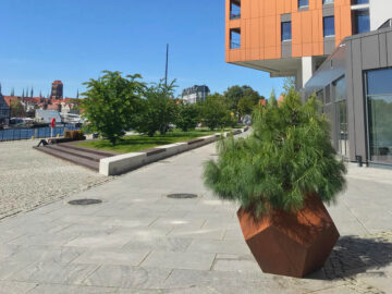 Zdjęcie: https://www.facebook.com/IbericaTapasBar/