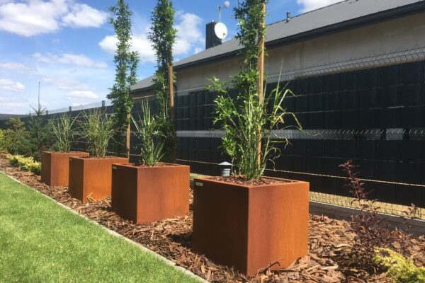 Img 0942 - cortena.pl